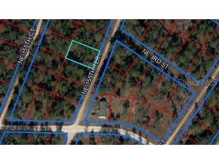155th Terrace NE Williston FL 32696 OM709277 image6