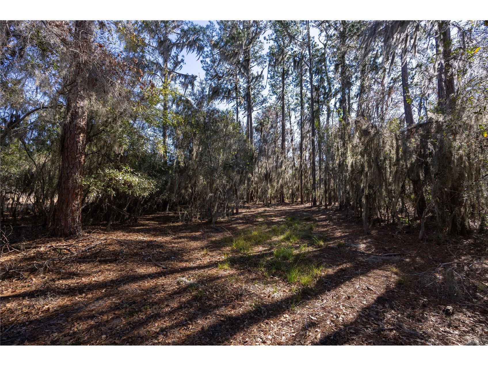 155th Way Starke FL 32091 - SAMPSON LAKE GC537376 image10