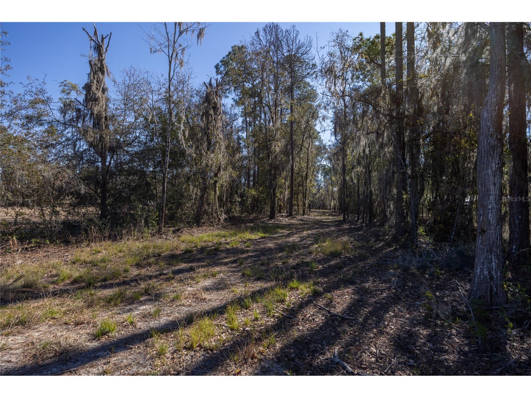 155th Way Starke FL 32091 - SAMPSON LAKE GC537376 image2