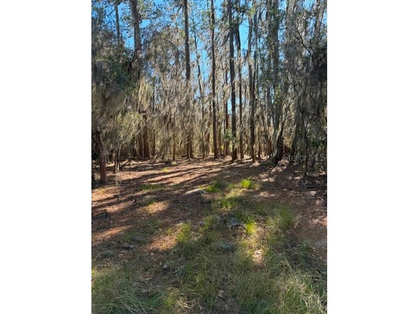 155th Way Starke FL 32091 - SAMPSON LAKE GC537376 image26