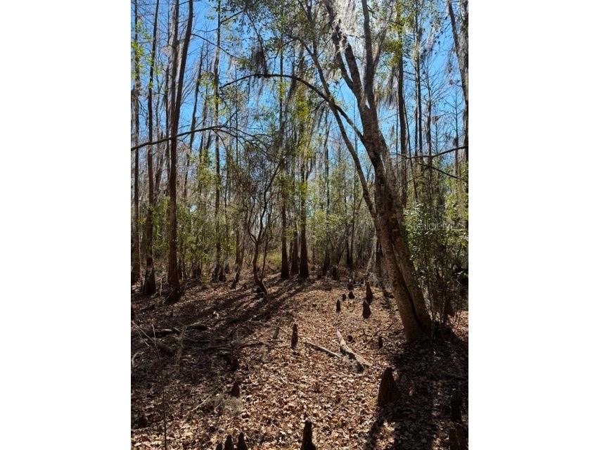 155th Way Starke FL 32091 - SAMPSON LAKE GC537376 image27