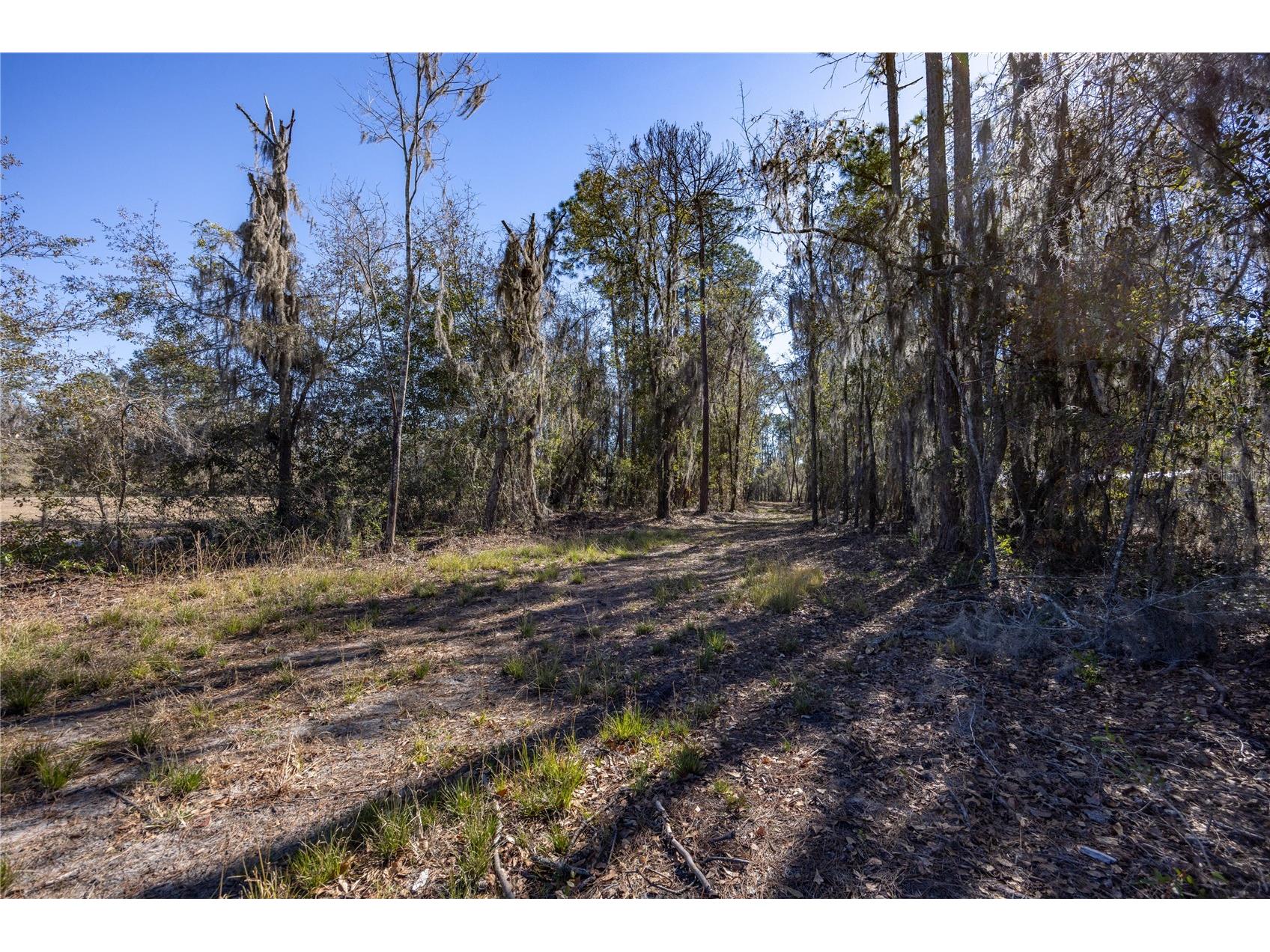 155th Way Starke FL 32091 - SAMPSON LAKE GC537376 image3