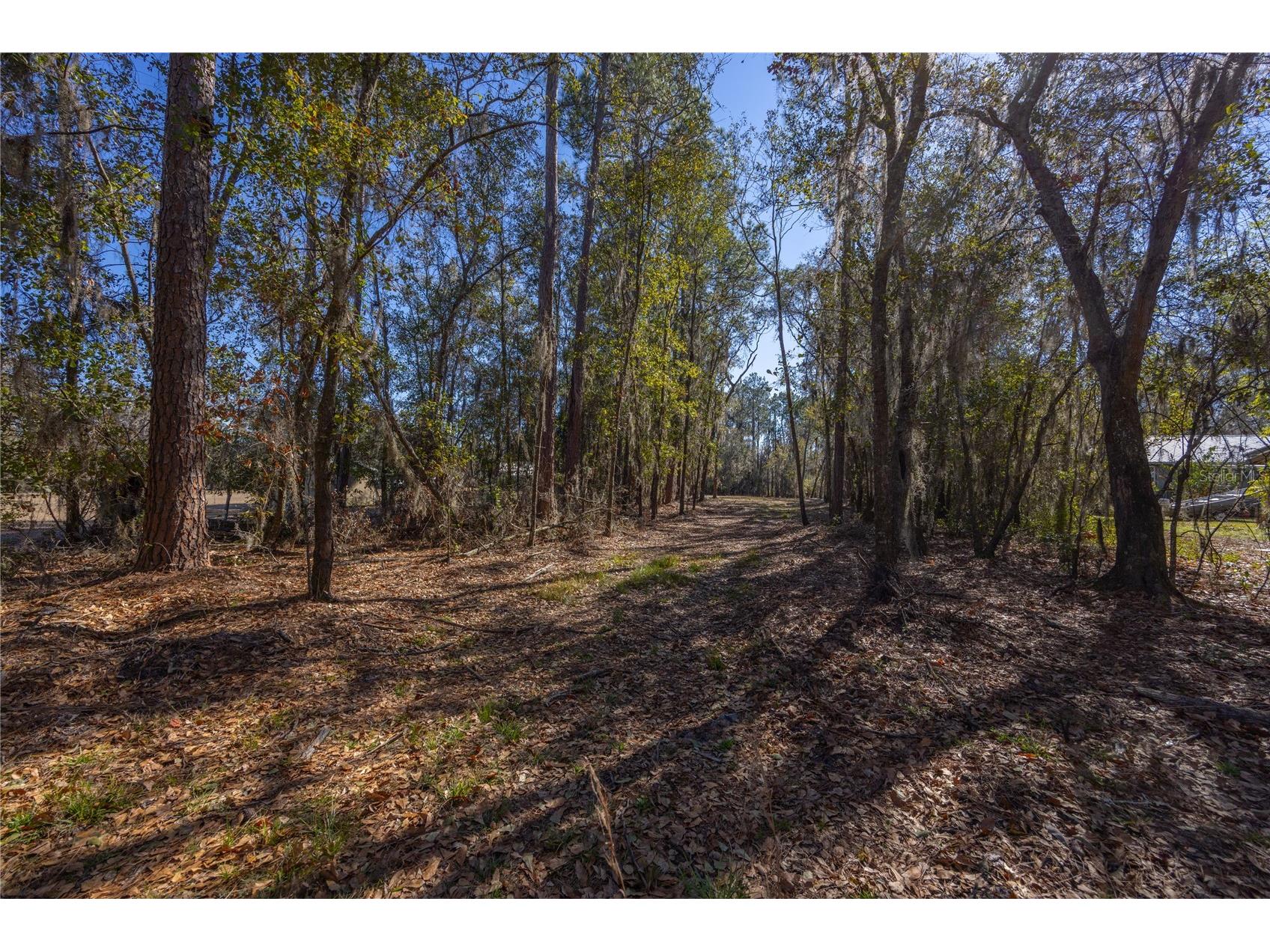 155th Way Starke FL 32091 - SAMPSON LAKE GC537376 image4