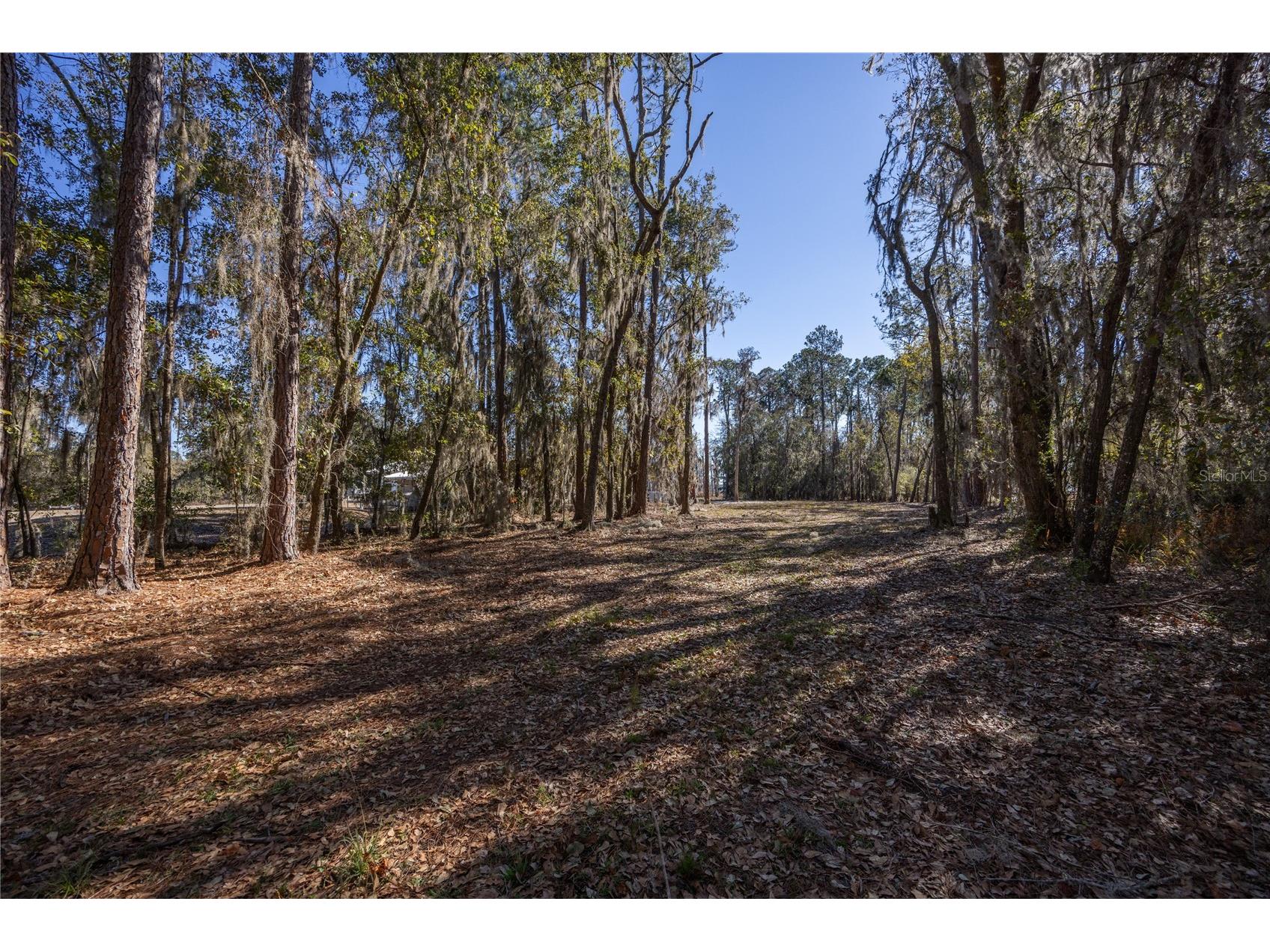 155th Way Starke FL 32091 - SAMPSON LAKE GC537376 image6