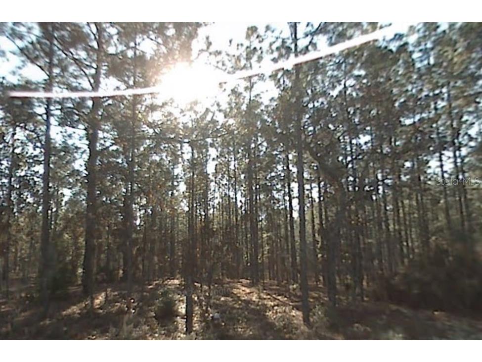 158th Ocala FL 34481 G5086318 image1