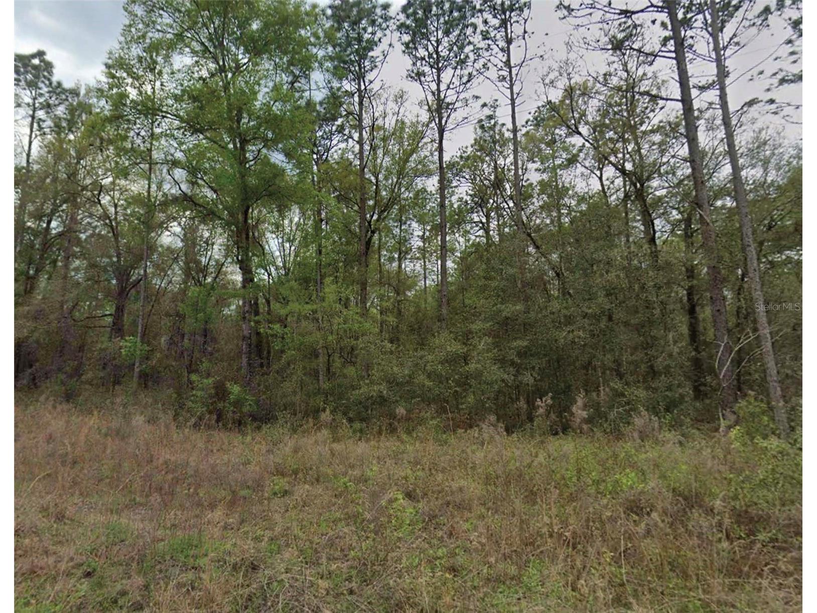 159th Avenue Road Ocala FL 34481 O6381840 image1