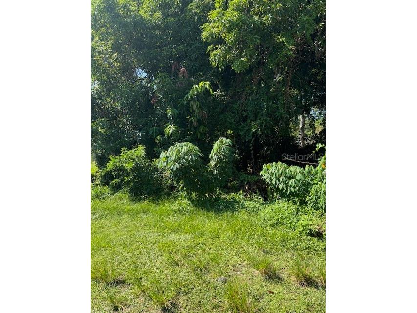 15th Avenue S Saint Petersburg FL 33712 TB8306769 image2