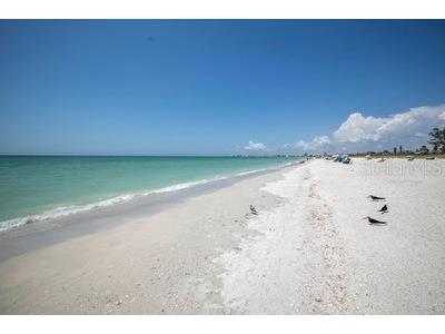 15th Avenue Saint Pete Beach FL 33706 U8242033 image24