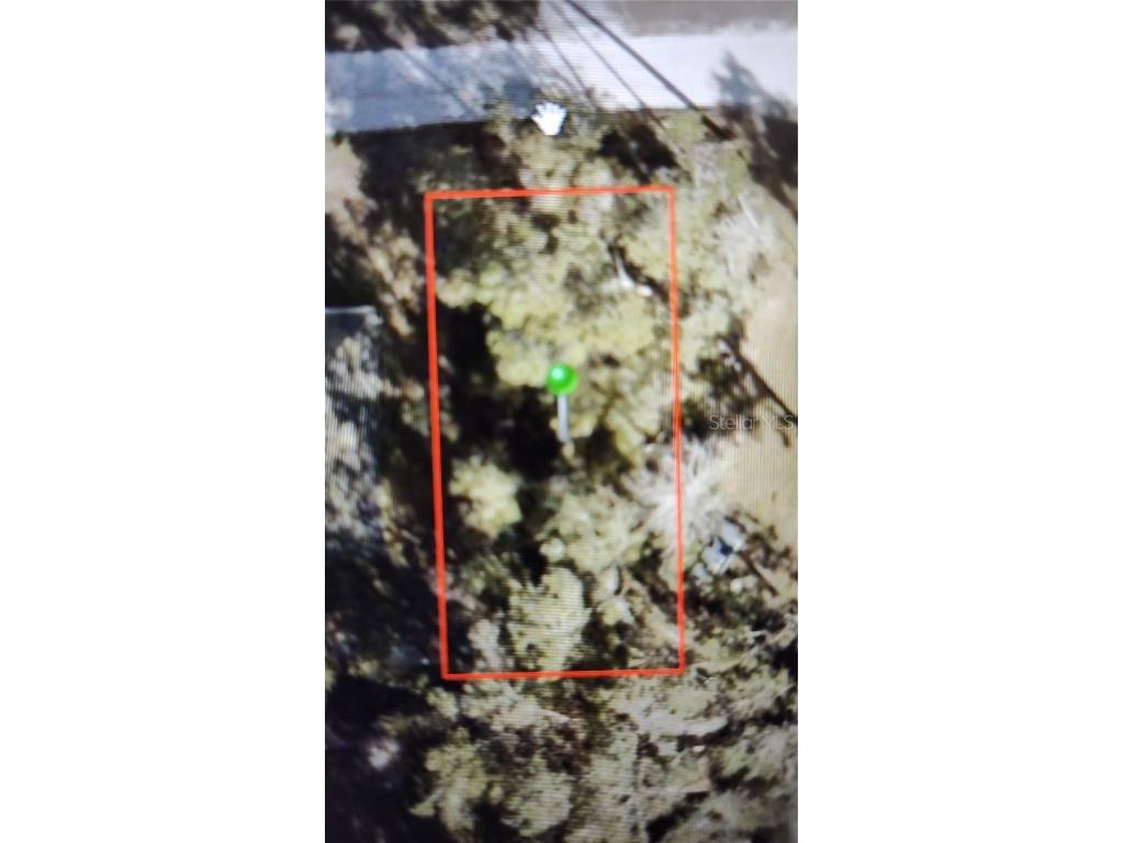 15th Street Orange City FL 32763 V4932762 image1