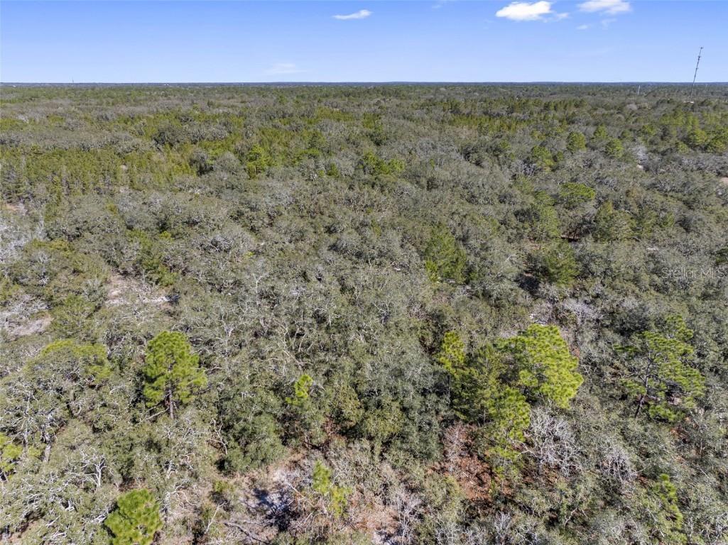 16-24-17-0000-00400-0000 Hudson FL 34667 TB8342931 image22