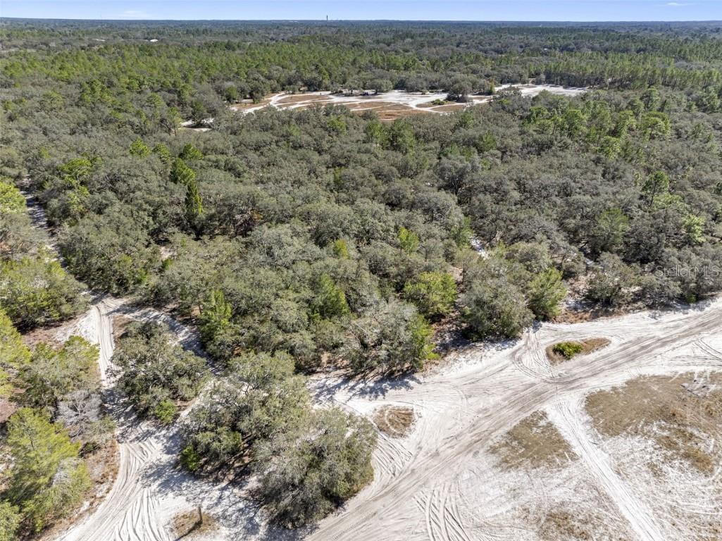 16-24-17-0000-00400-0000 Hudson FL 34667 TB8342931 image25