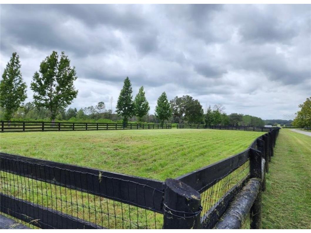 16070 Se 55 Ave Rd Summerfield FL 34491 OM674734 image8