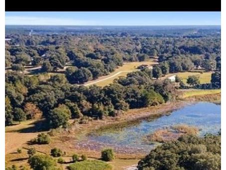 160th Ave Road Weirsdale FL 32195 O6240841 image2