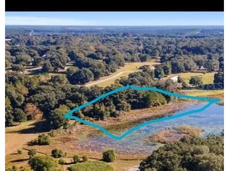 160th Ave Road Weirsdale FL 32195 O6240841 image3