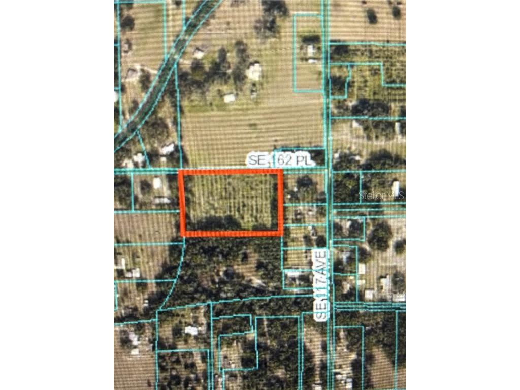 162nd Place SE Weirsdale FL 32195 OM697779 image1