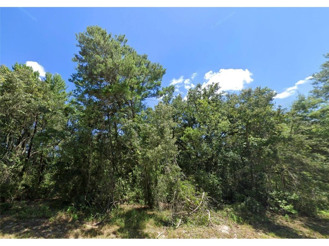 169th Street Ocala FL 34473 O6173822 image1