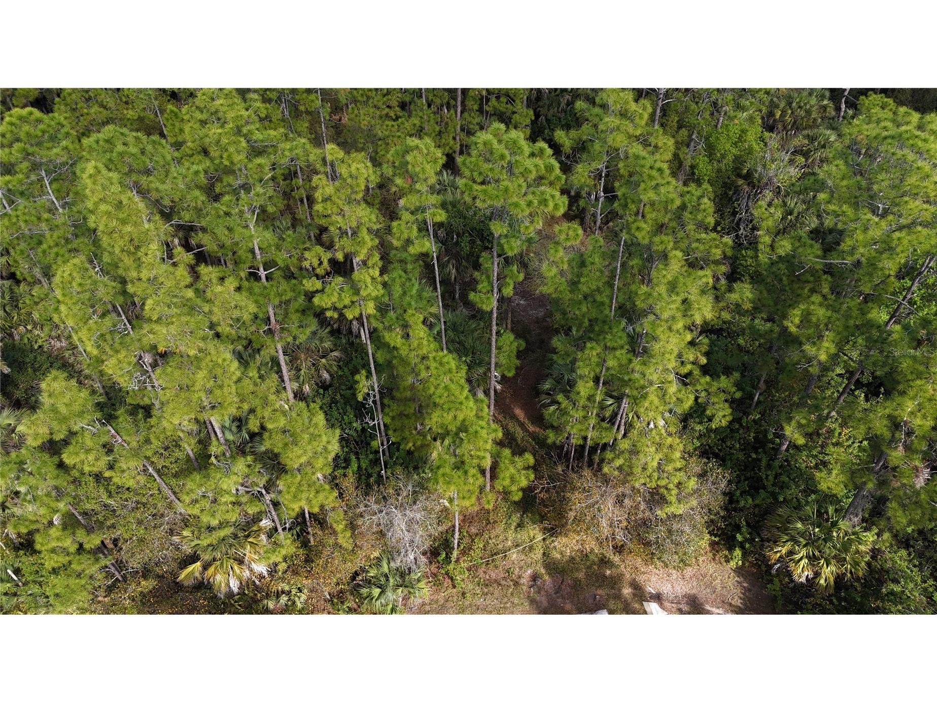 16th Ave Se Naples FL 34117 OM717000 image10