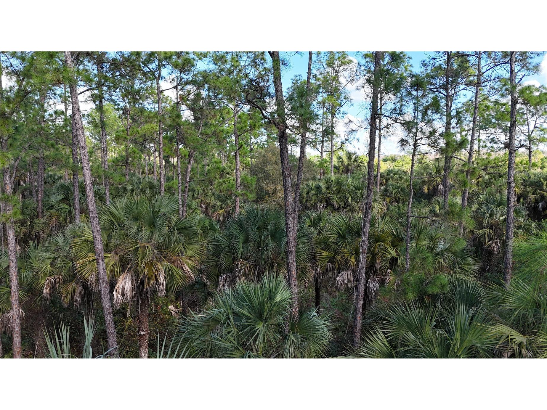 16th Ave Se Naples FL 34117 OM717000 image3