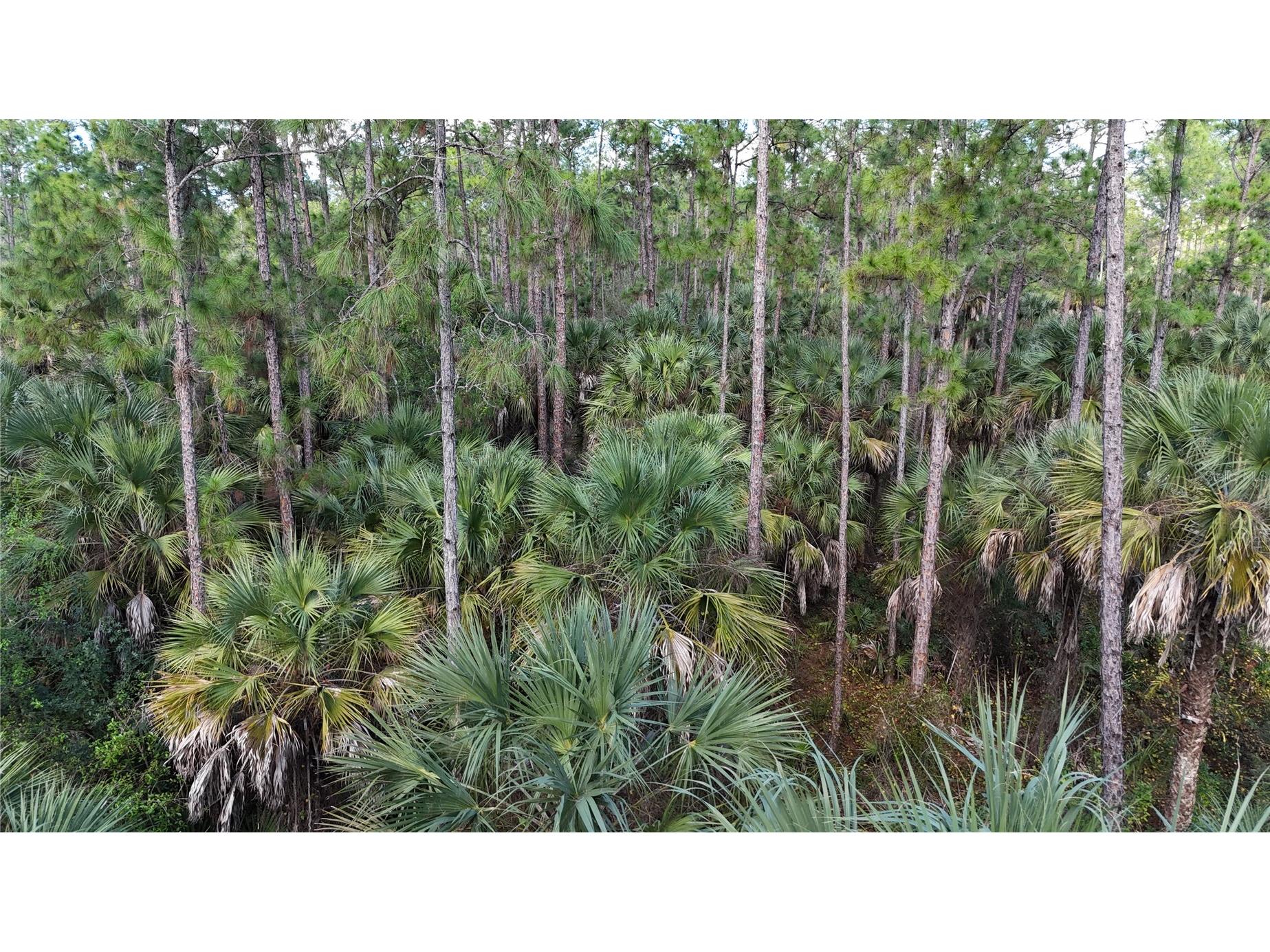 16th Ave Se Naples FL 34117 OM717000 image4
