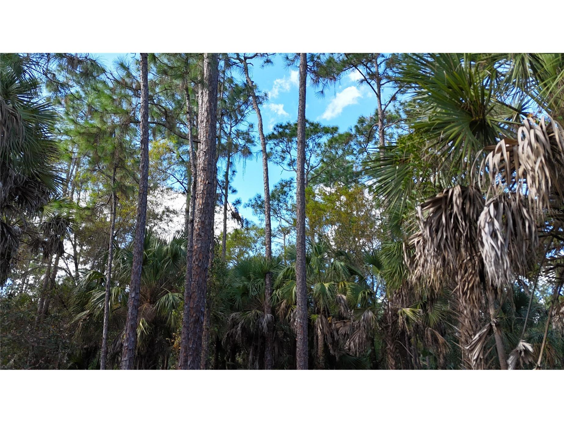 16th Ave Se Naples FL 34117 OM717000 image5