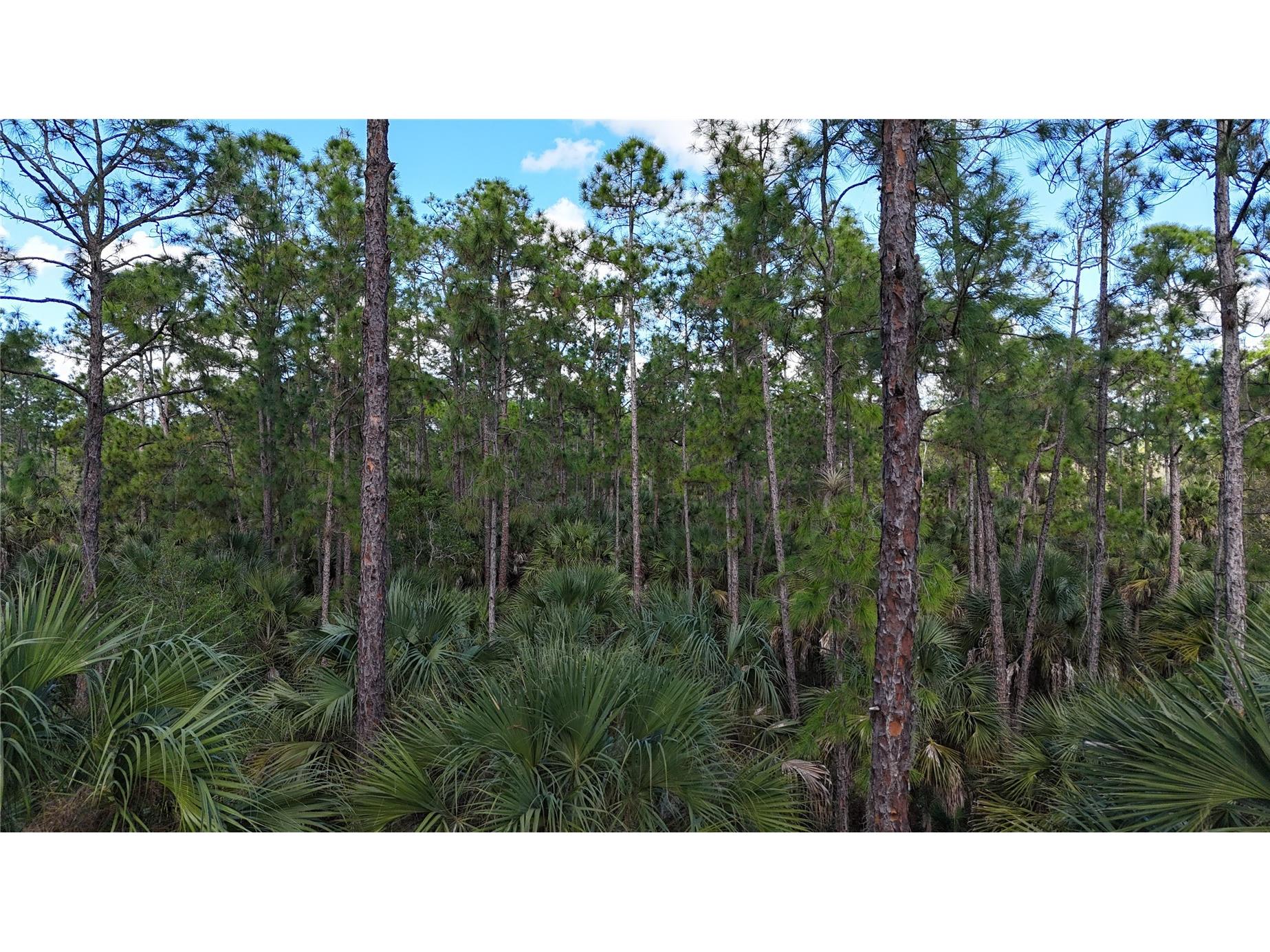 16th Ave Se Naples FL 34117 OM717000 image6
