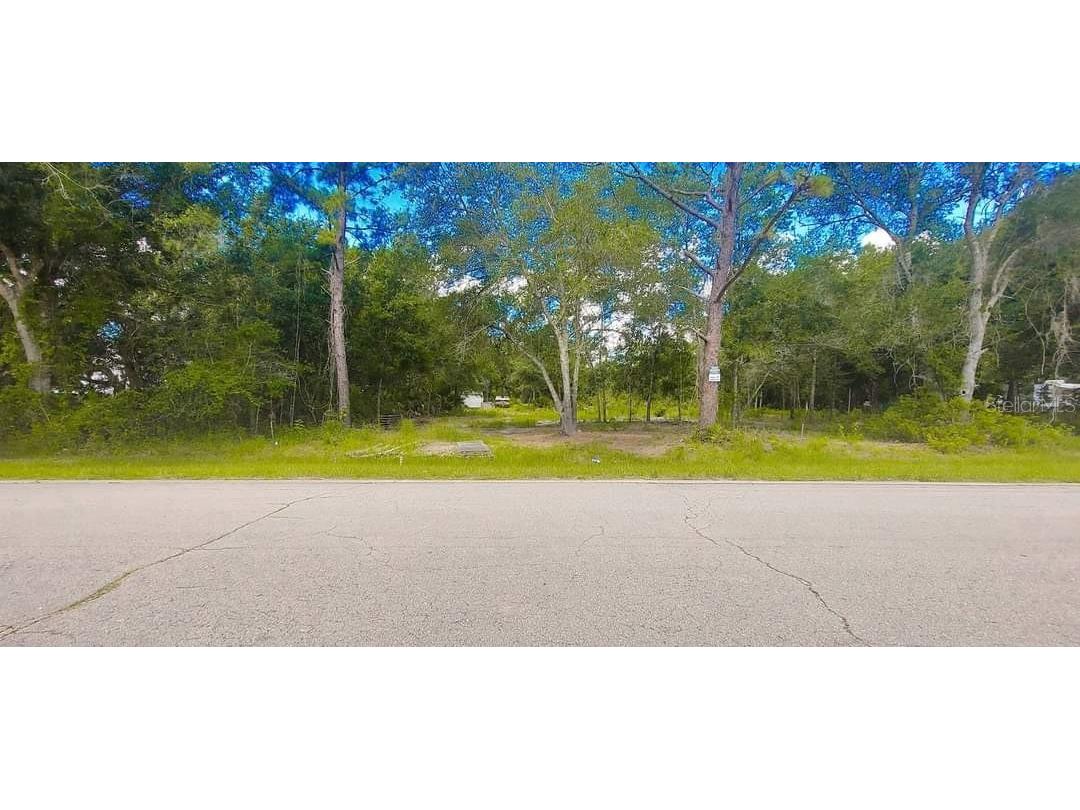 16th Avenue Orlando FL 32833 S5109736 image1