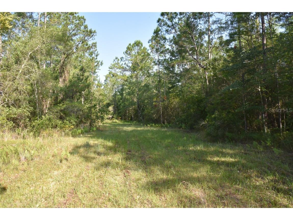 17007 County Road 1475 Gainesville FL 32609 OM679607 image1