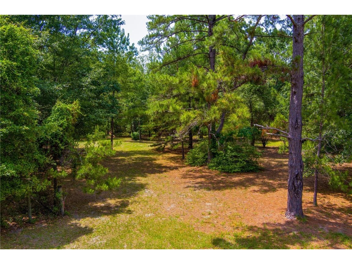 172nd Street Lake City FL 32024 GC522139 image2