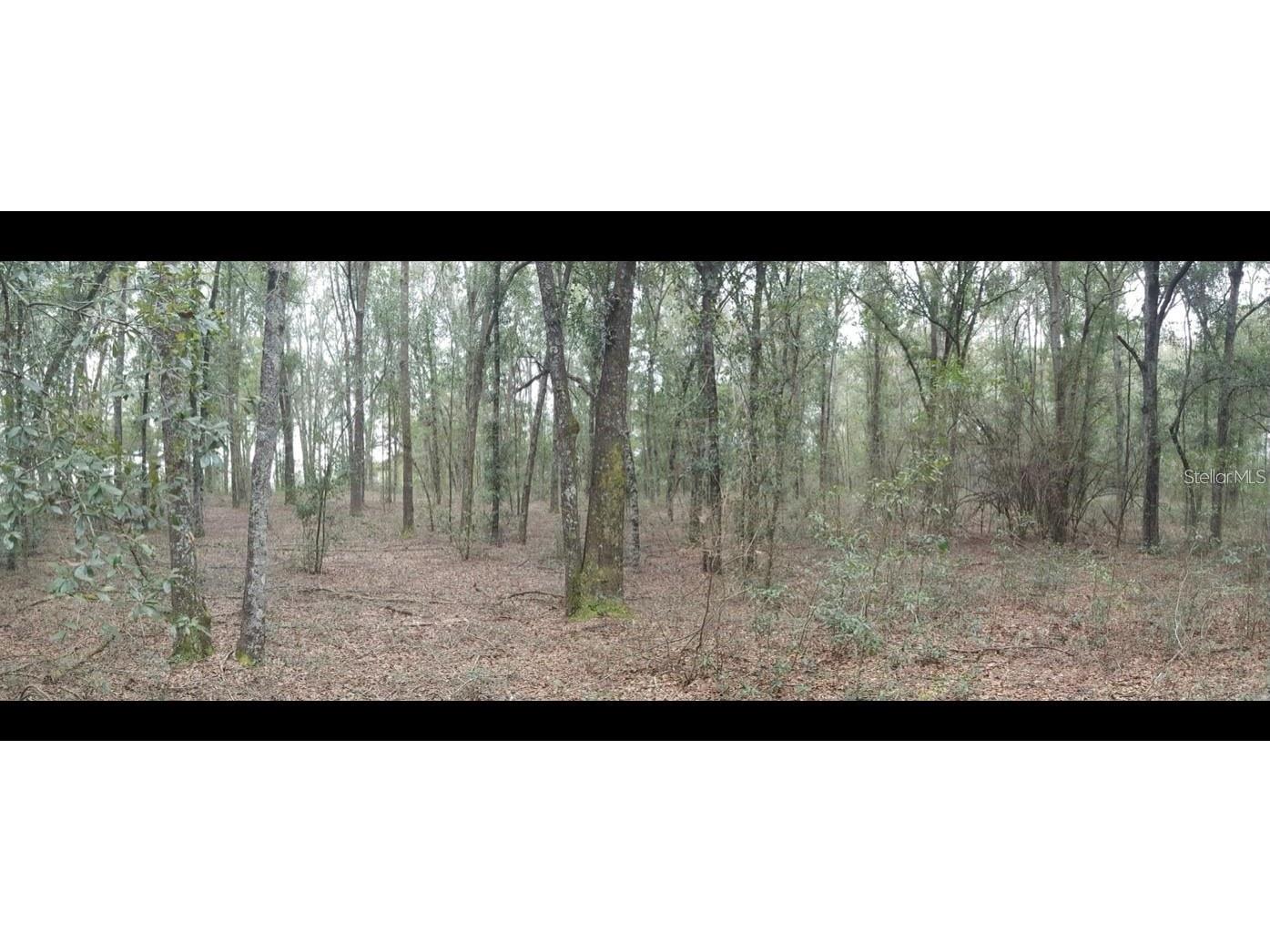 176th St Mc Alpin FL 32062 L4952659 image1