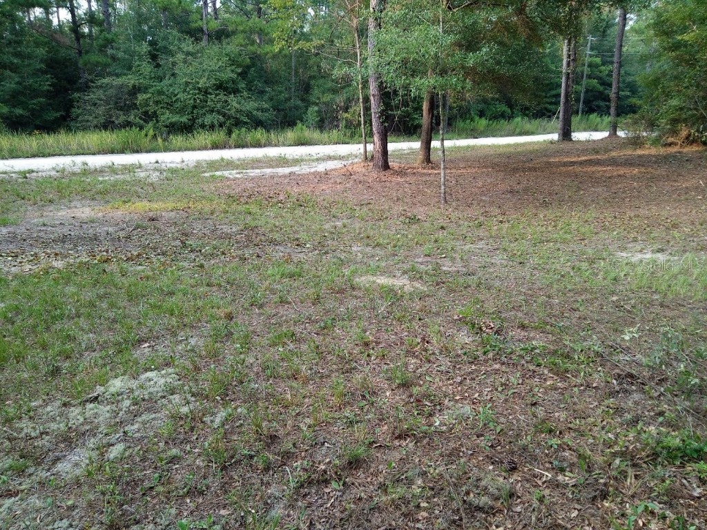 177th Court Lot 11 Live Oak FL 32060 A4576666 image1