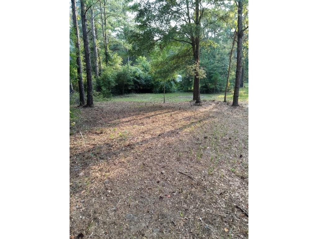 177th Court Lot 12 Live Oak FL 32060 A4591432 image1