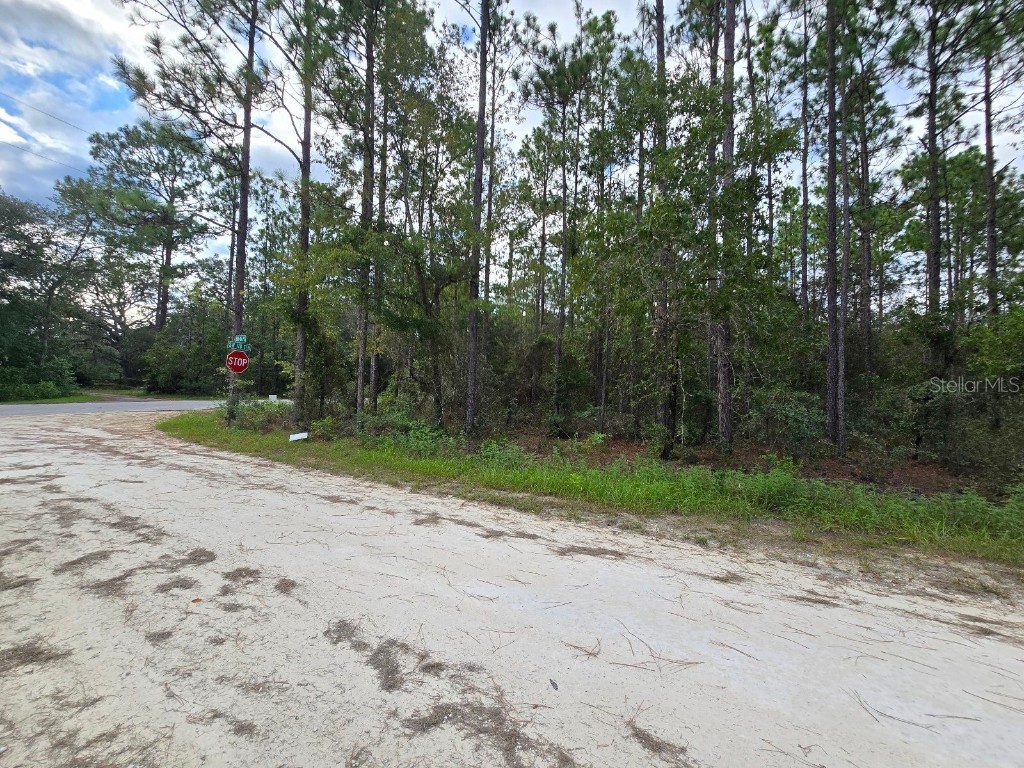 178 Terrace Dunnellon FL 34432 OM708653 image5