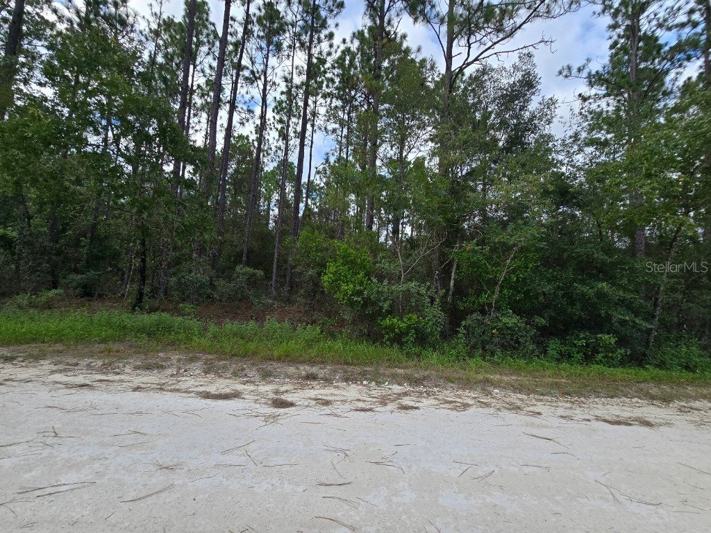 178 Terrace Dunnellon FL 34432 OM708653 image6