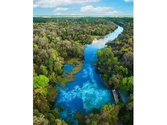 178 Terrace Dunnellon FL 34432 OM708653 image7