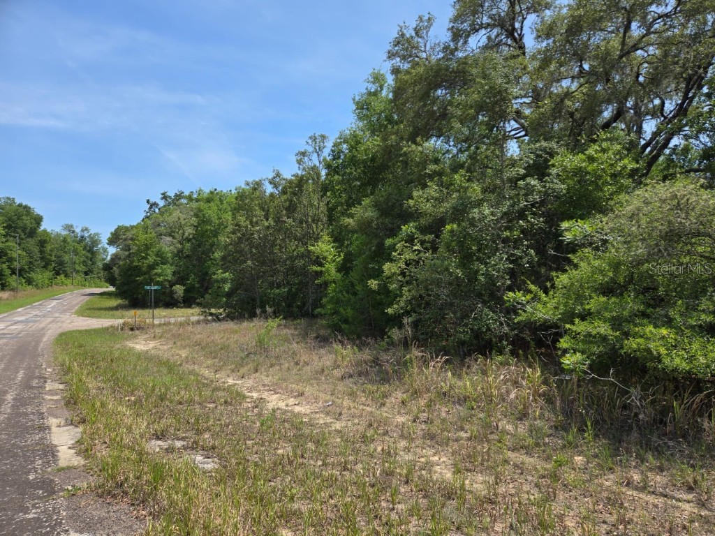 1795 W Thumper Citrus Springs FL 34434 TB8385480 image2