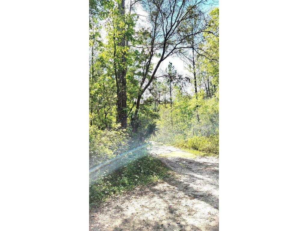 #18 No Street Deland FL 32724 V4935037 image10