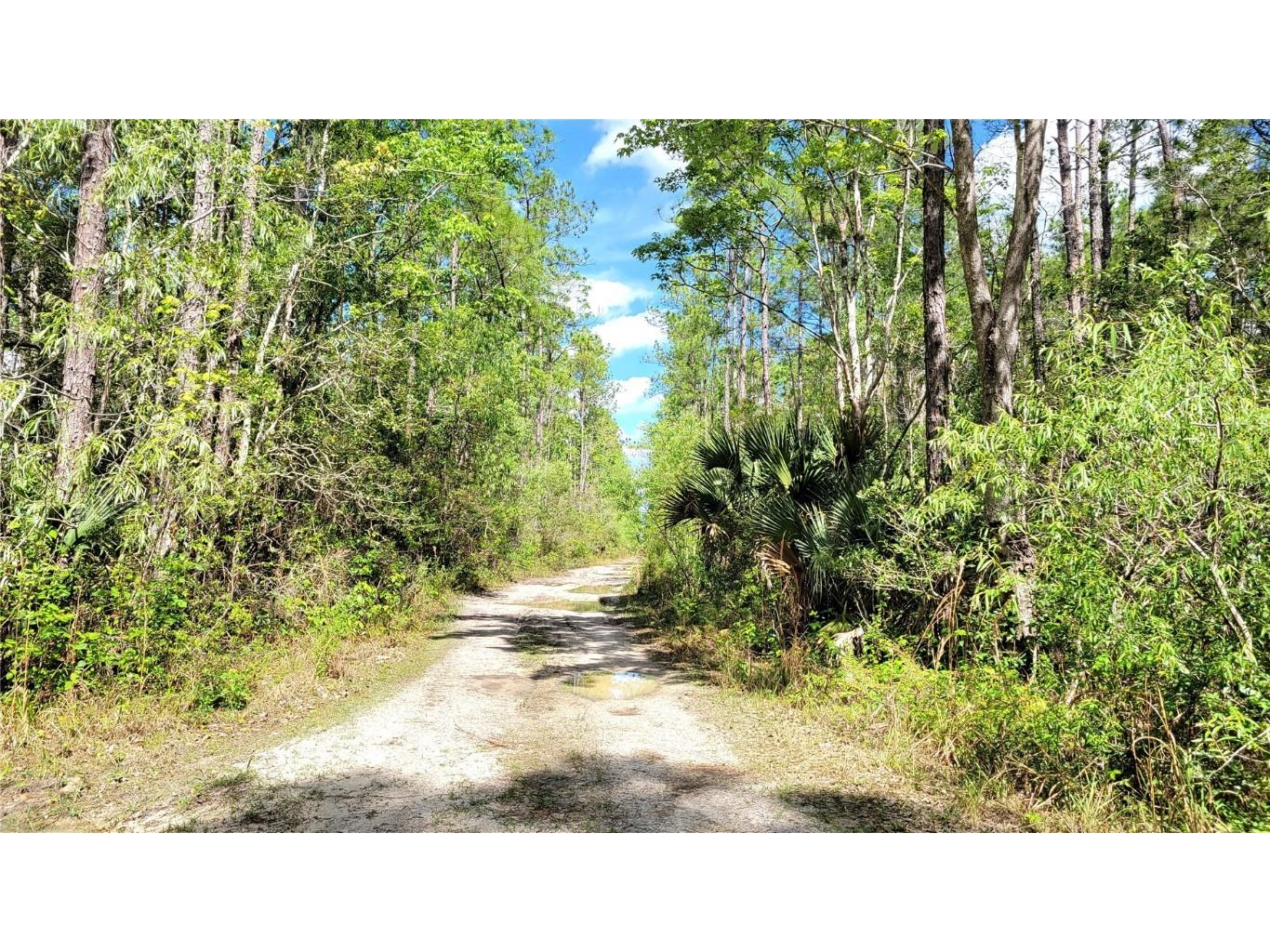 #18 No Street Deland FL 32724 V4935037 image12