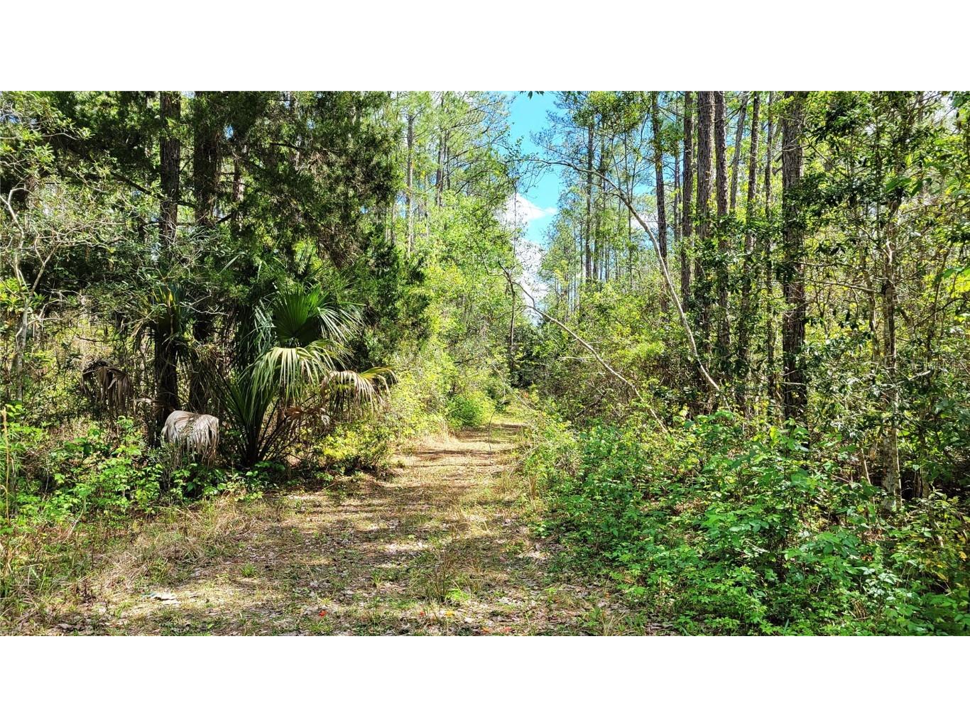 #18 No Street Deland FL 32724 V4935037 image13