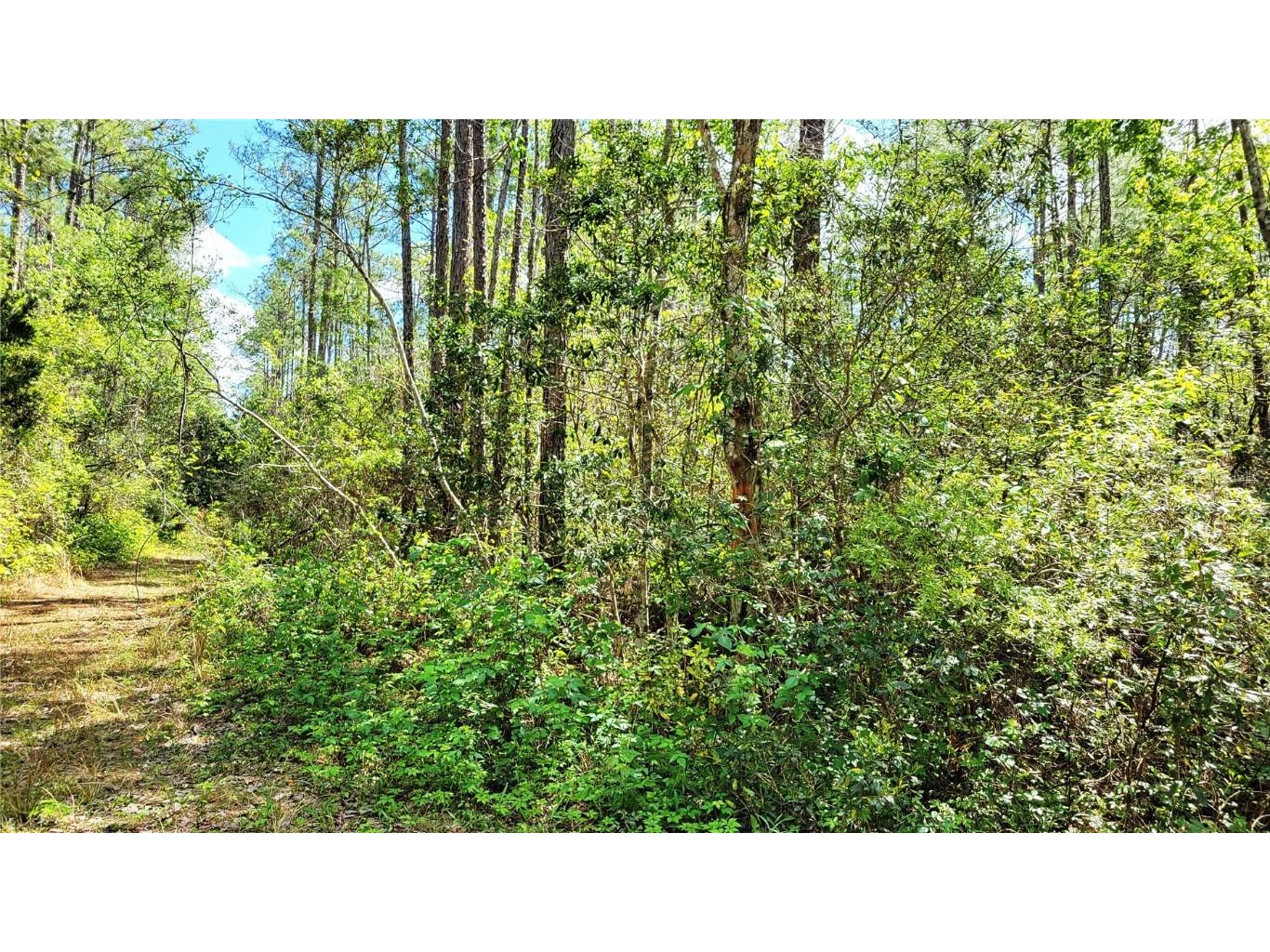 #18 No Street Deland FL 32724 V4935037 image14