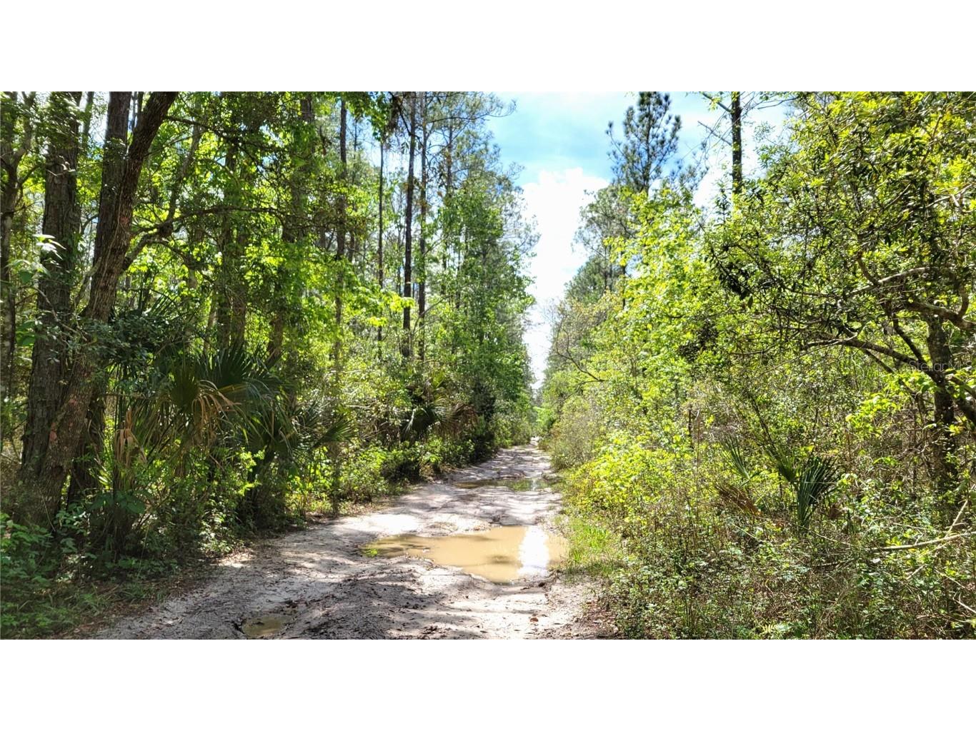 #18 No Street Deland FL 32724 V4935037 image15