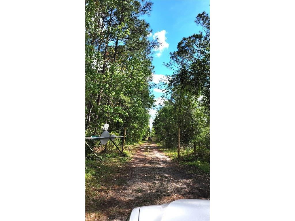 #18 No Street Deland FL 32724 V4935037 image2