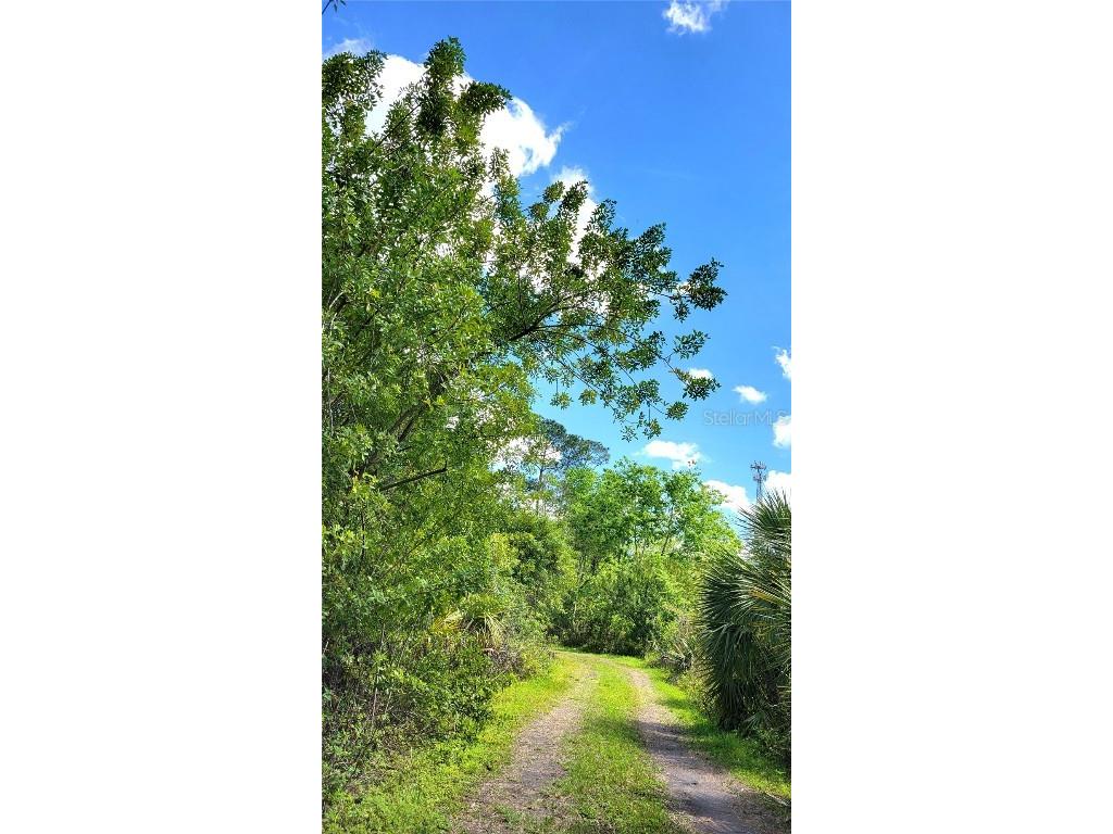 #18 No Street Deland FL 32724 V4935037 image3