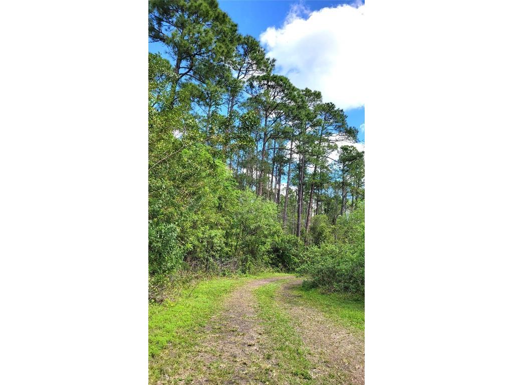 #18 No Street Deland FL 32724 V4935037 image4