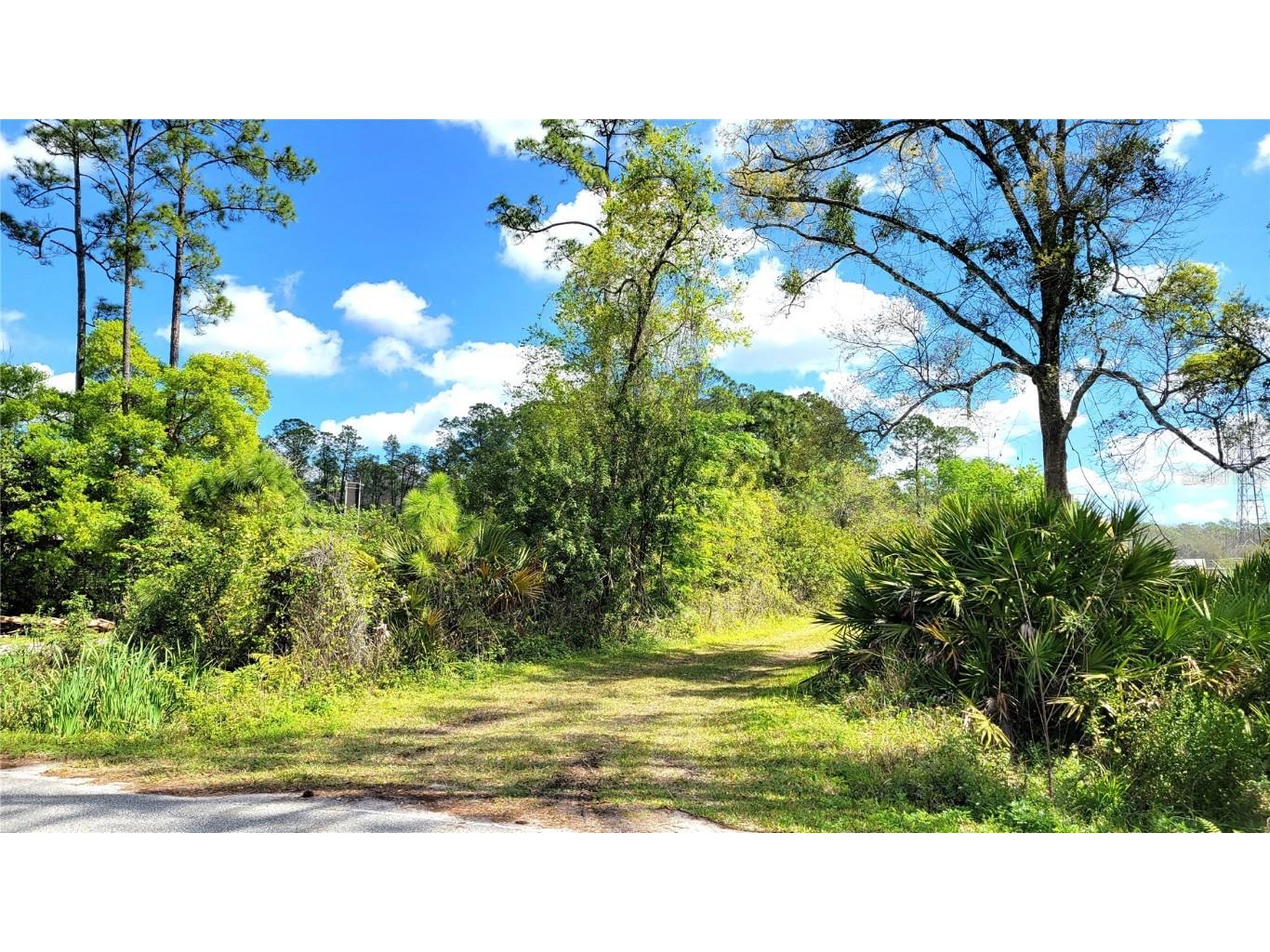 #18 No Street Deland FL 32724 V4935037 image5