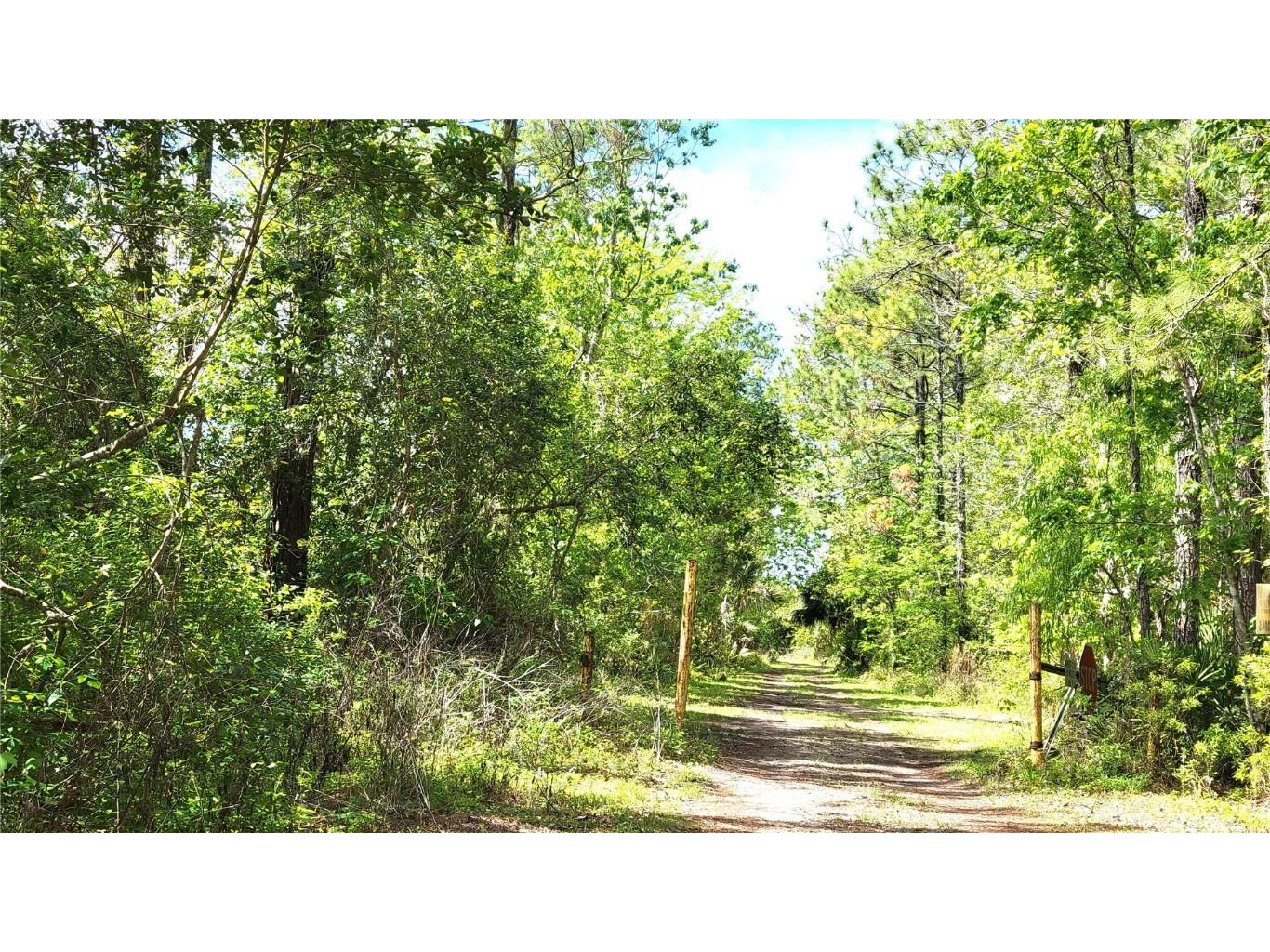 #18 No Street Deland FL 32724 V4935037 image6