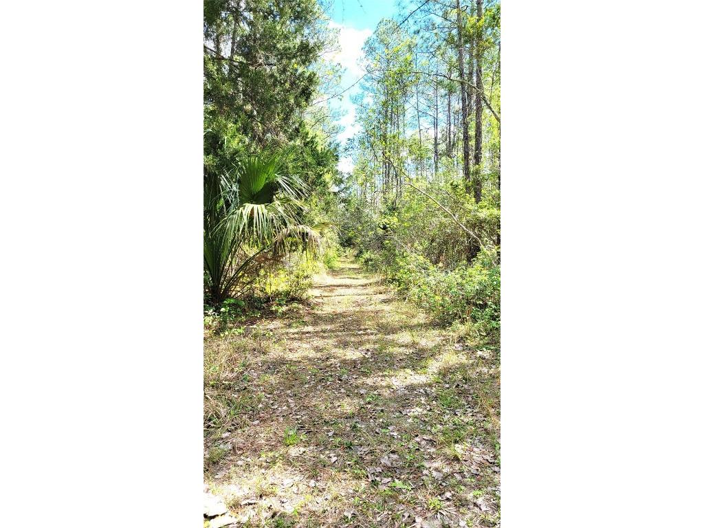 #18 No Street Deland FL 32724 V4935037 image8