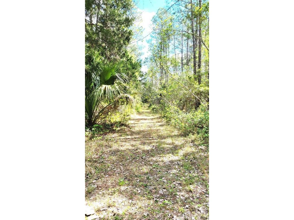 #18 No Street Deland FL 32724 V4935037 image9