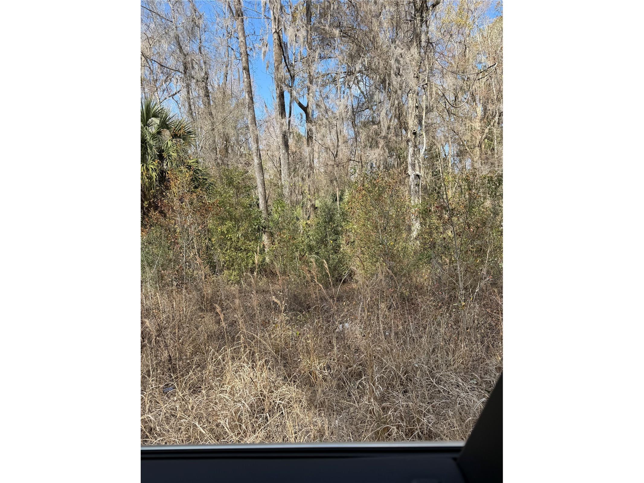 18 Street Ocala FL 34481 S5143848 image1