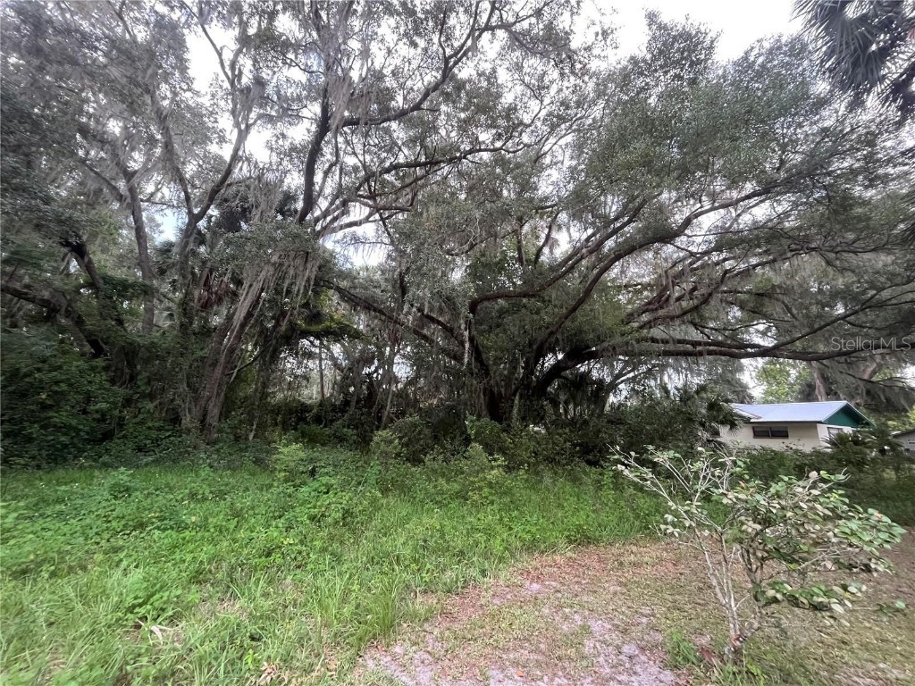 183rd Avenue Hawthorne FL 32640 OK224803 image13