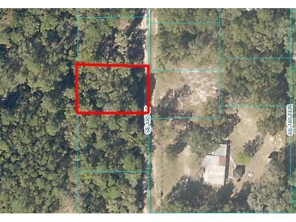 185th Court Ocklawaha FL 32179 OM698246 image2